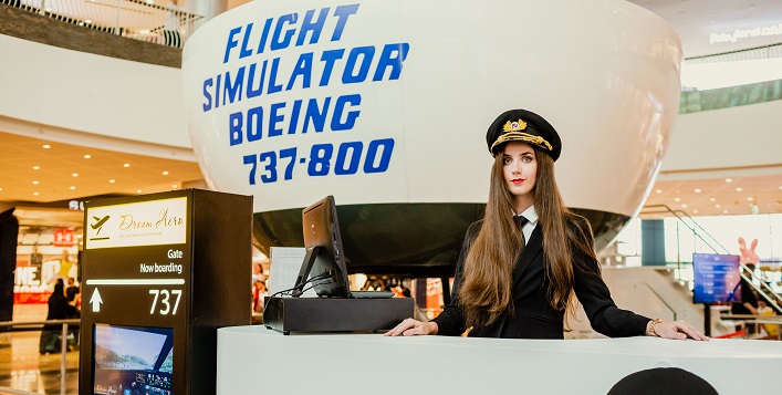 Flight simulator experience