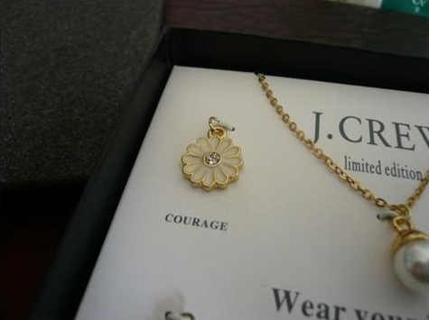 J Crew Jewel Set