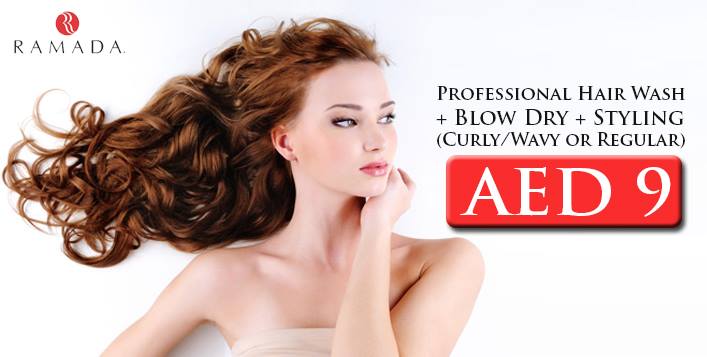 Professional Blow Dry and Styling