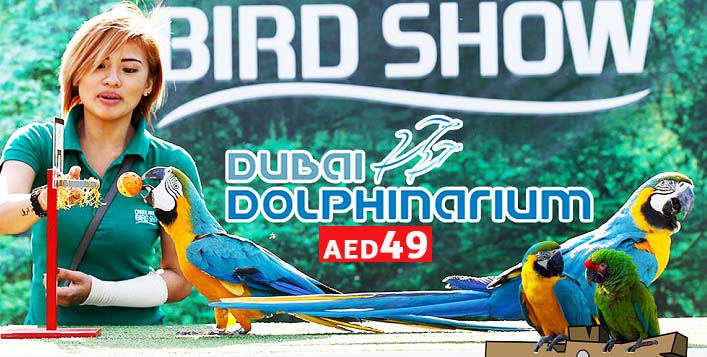 Bird Show Dolphinarium