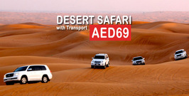 Desert Safari 3