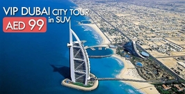 VIP Dubai Tour