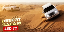 Desert Safari