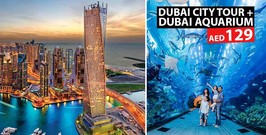 Dxb Tour and Aquarium